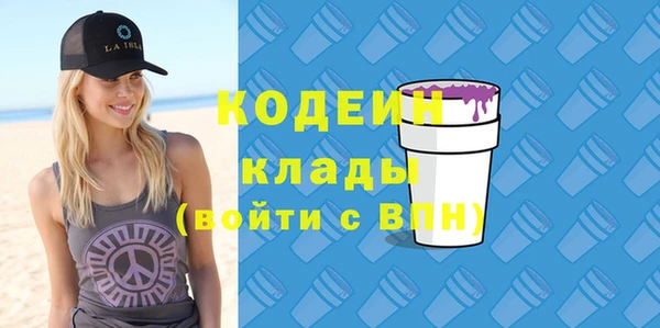 spice Богородицк