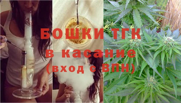 spice Богородицк