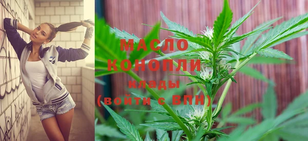 spice Богородицк